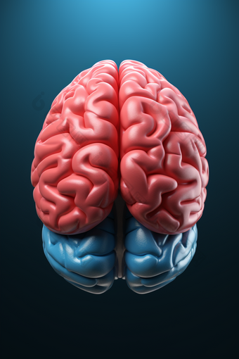 大脑神经系统神经中枢