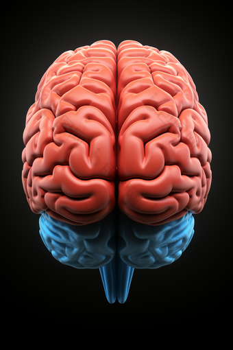 大脑神经系统调节