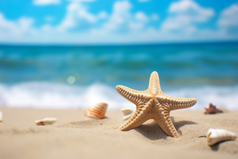 沙滩上的<strong>海星</strong>海滩生态系统海边自然景观