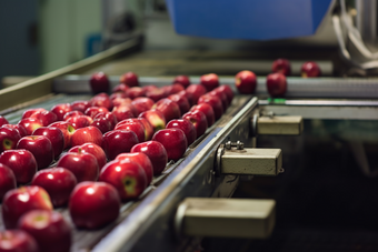 苹果加工食品生产食品加工