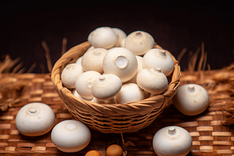 白蘑菇商业美食菜单摄影摄影图