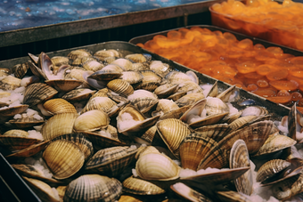 水产海产贝类养殖海鲜餐饮生鲜河鲜扇贝浅海滩涂养殖摄影图