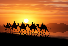 沙漠骆驼农业农学农村三农旅游农业类摄影图