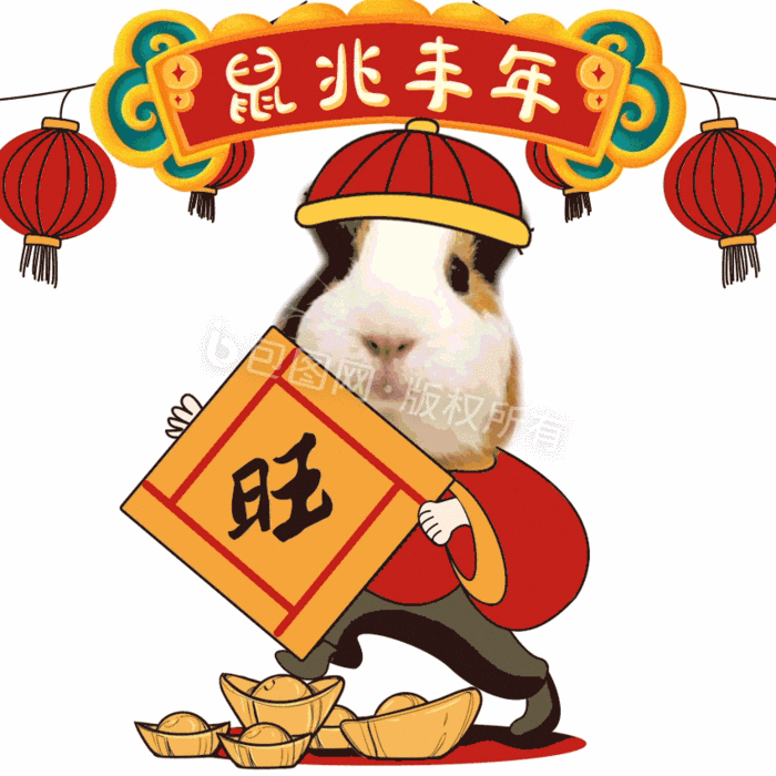 gif动图素材下载,高清aep,编号19448070,各类应用场景,文字,图片信息