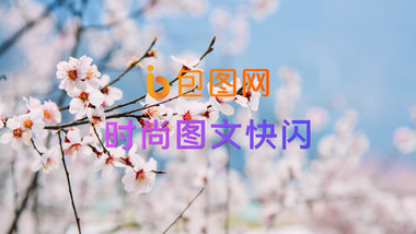 时尚图文展示pr模板