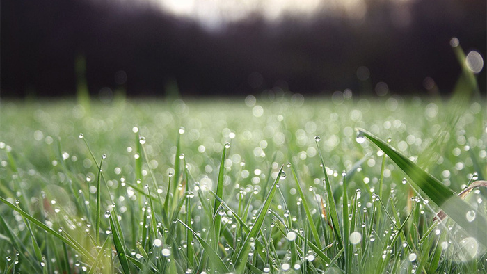 中国风名曲悲伤的梁祝化碟MP3下载_【包图网