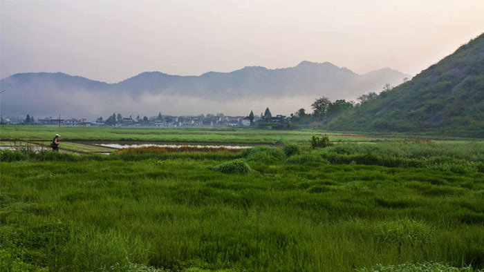 昆虫鸟叫声田野清晨虫鸣鸟叫MP3下载_【包图网】