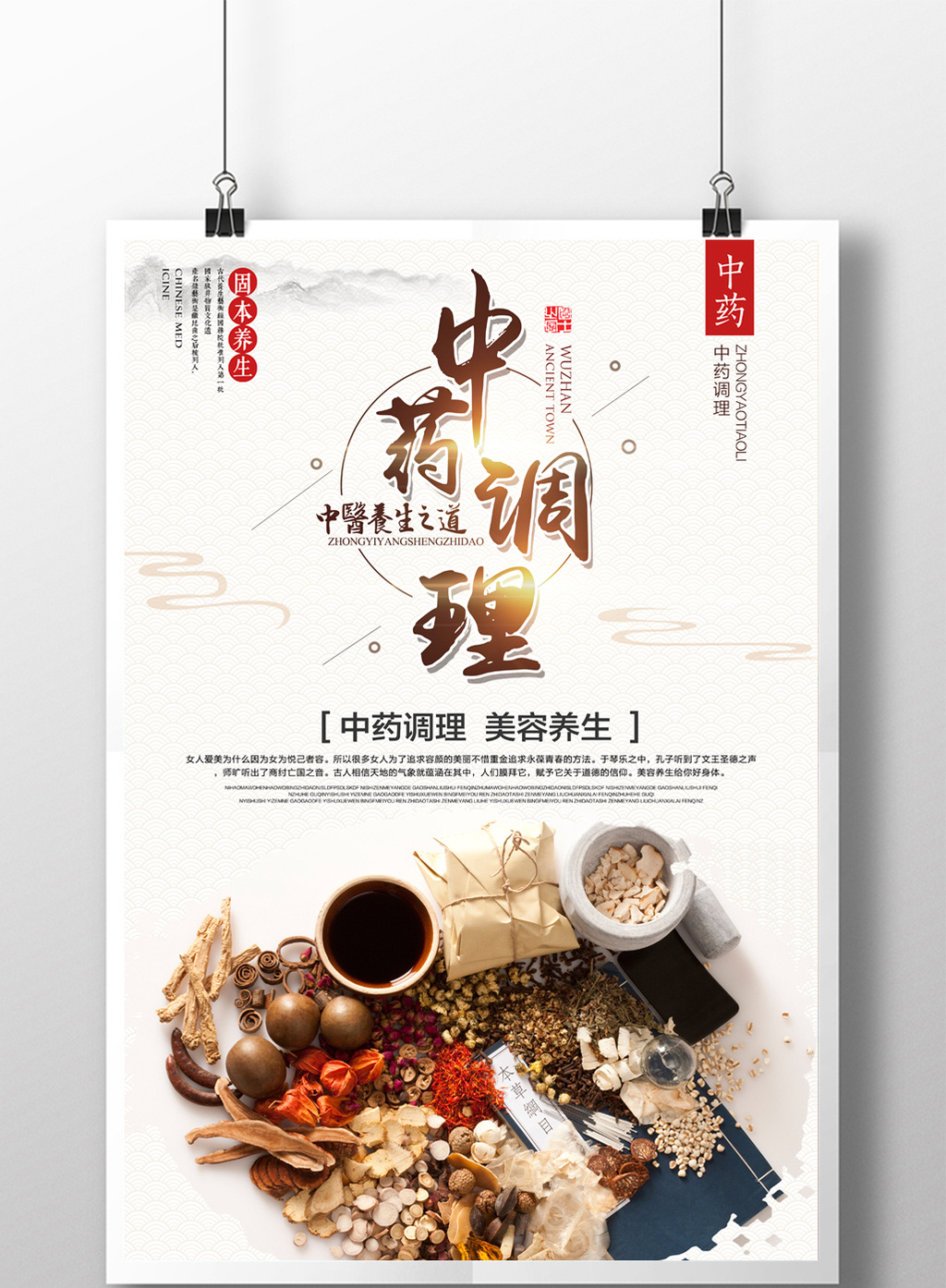 中国风中药材中药调理医疗保健宣传广告展板