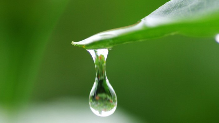 雨滴落在塑料上发出的声音