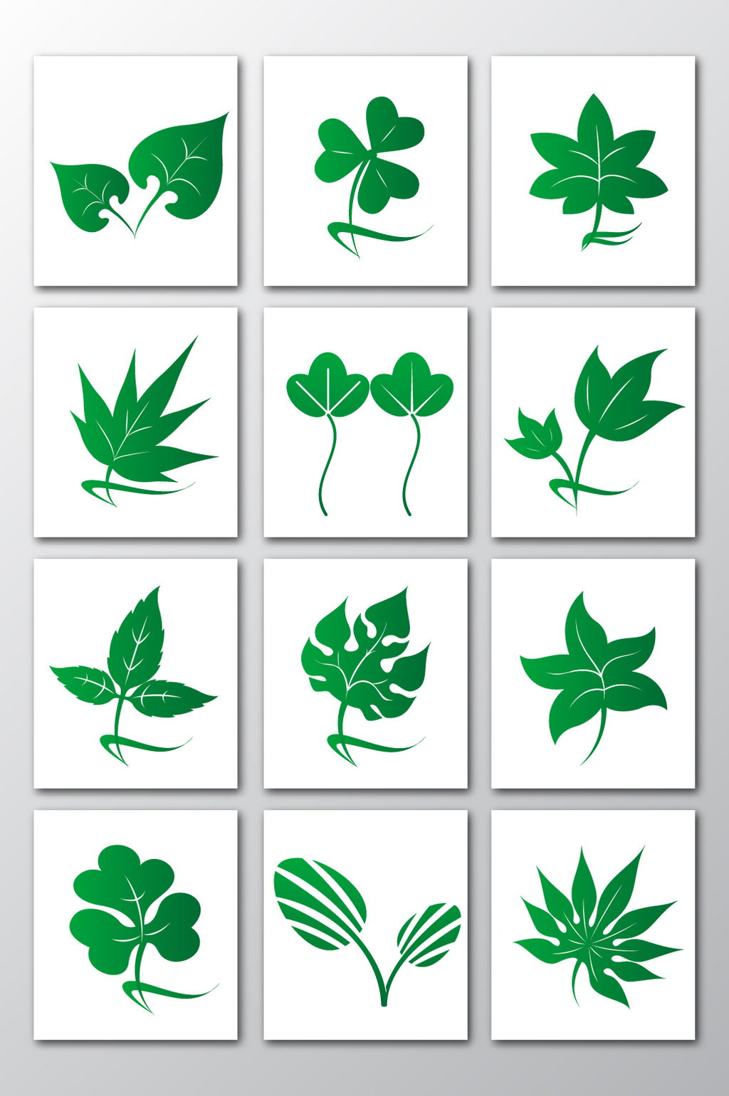 科学网—植物叶子的形状(叶形) - 王从彦的博文