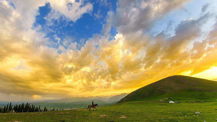 我爱祖国的大草原轻快感人的马头琴音乐MP3