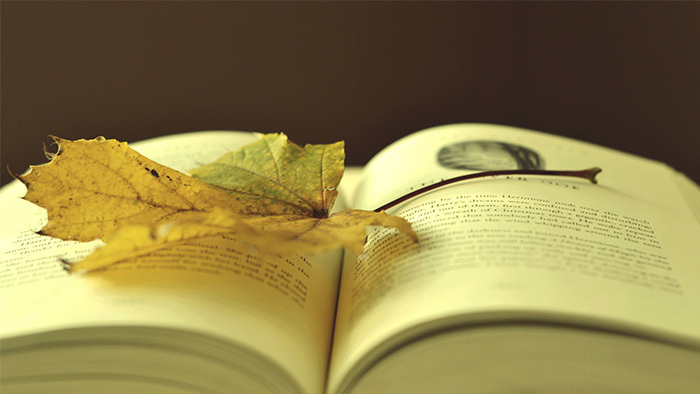 帅气洒脱的说唱快手小视频配乐模板免费下载_