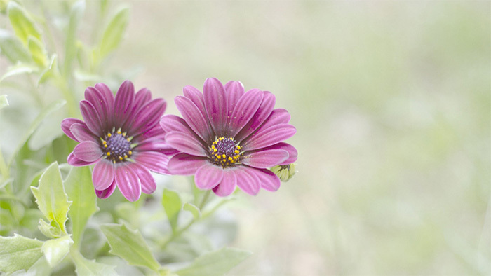电子风强烈节奏的快手小视频配乐模板免费下载