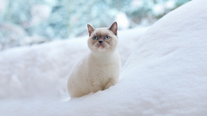 滑稽搞笑的死亡经典吃豆人游戏音效MP3下载