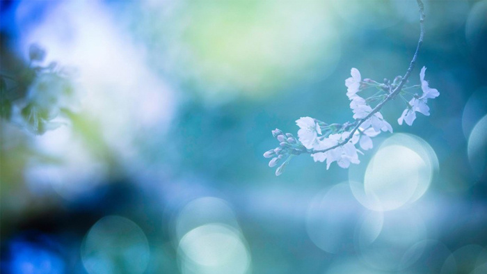 搞笑滑稽的声音音效MP3下载