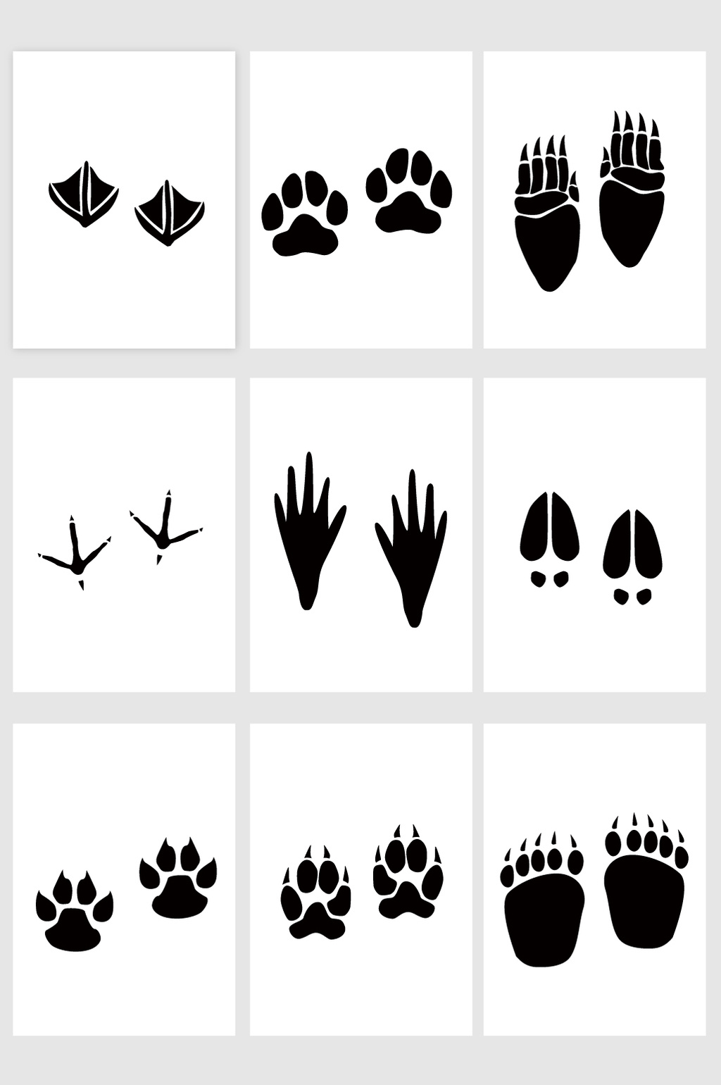 野生生物动物脚印 向量例证. 插画 包括有 爪子, 图标, 设计, 标记, 分级显示, 河马, 例证, 野兔 - 73203660