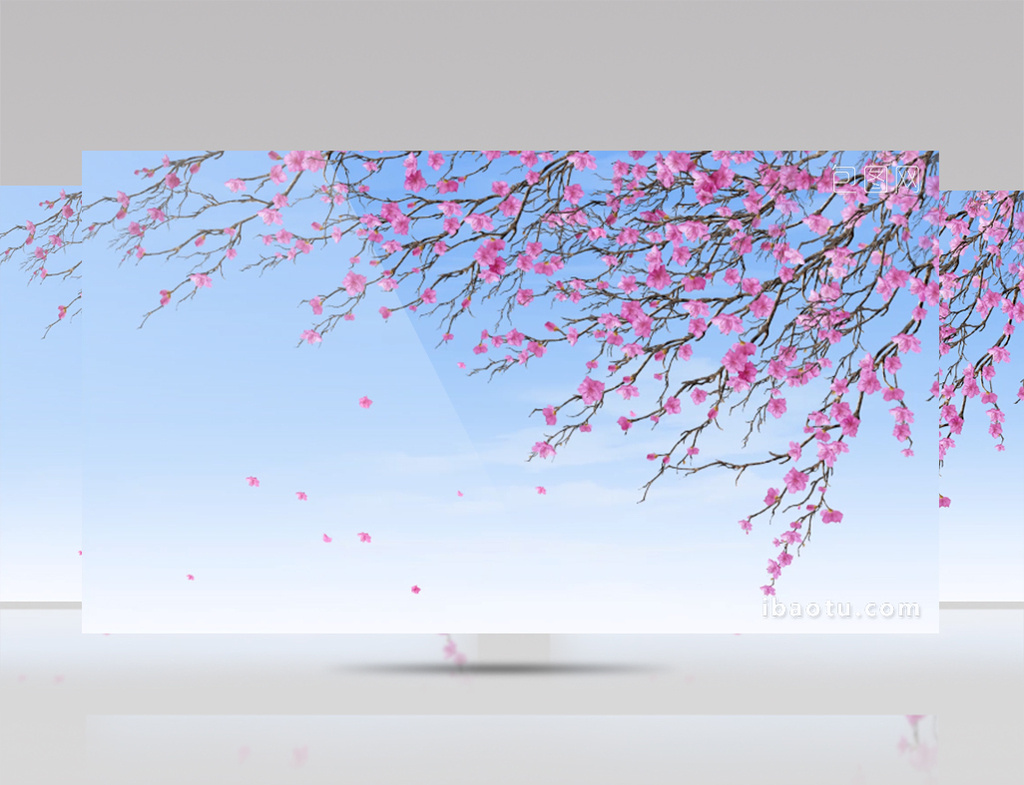冬日梅花飘落背景视频素材图片