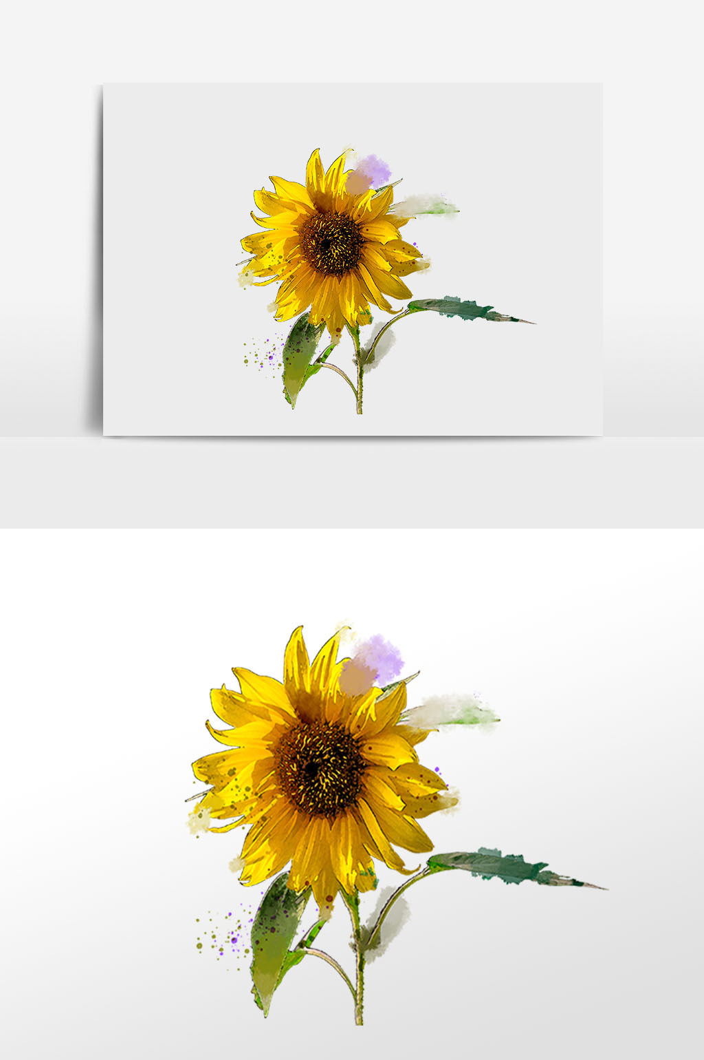 花卉系列向日葵水彩手绘插画