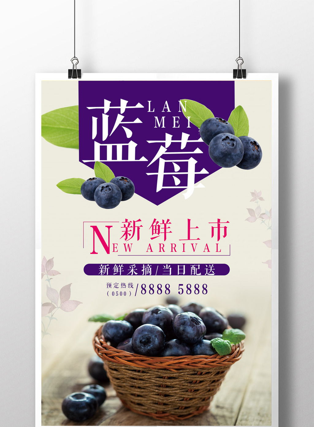 蓝莓新鲜上新海报