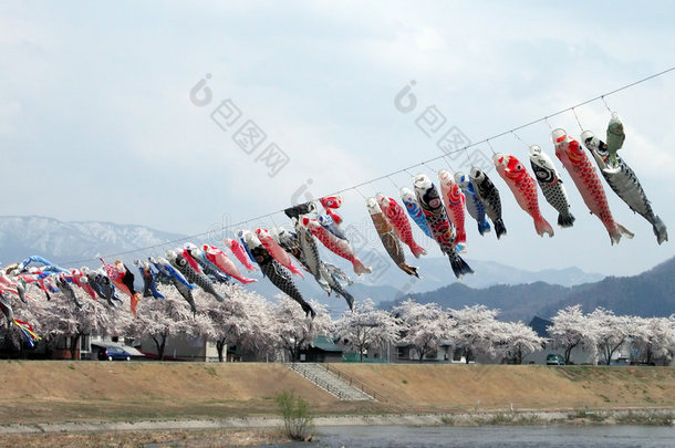 山谷飞鲤