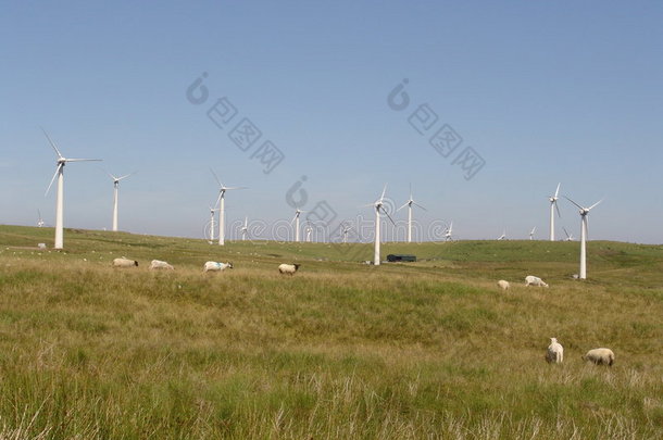 威尔士山区有羊的<strong>风电</strong>场