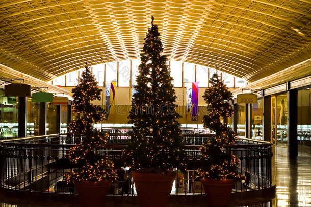 购物中心的圣诞树