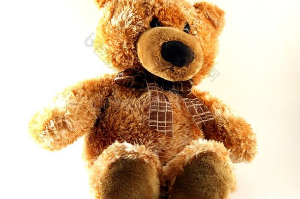 一个玩具-一只柔软的熊