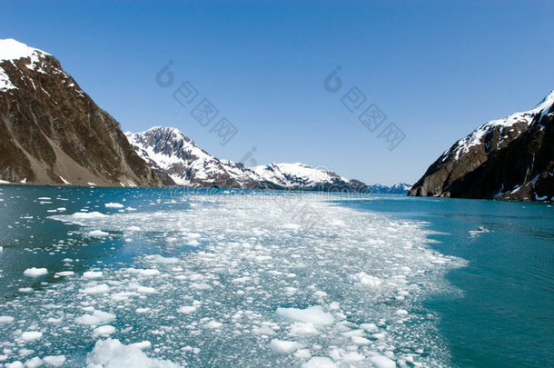 海洋中的冰川碎片