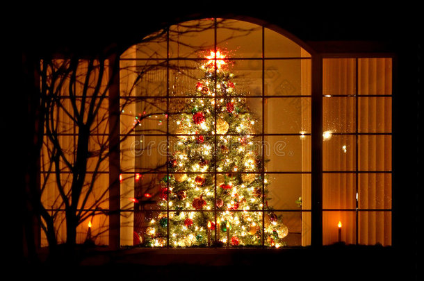 <strong>欢迎回家</strong>窗前的圣诞树