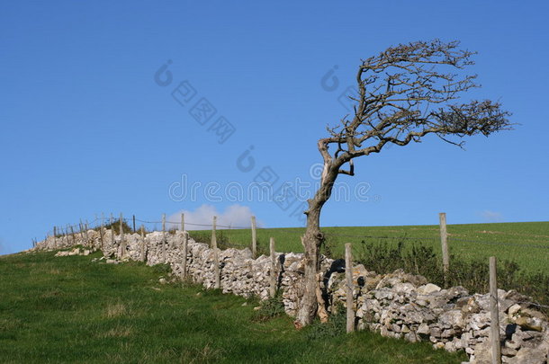 古老的石墙、树木和农田。