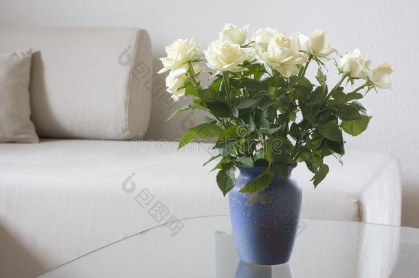 客厅里的白玫瑰