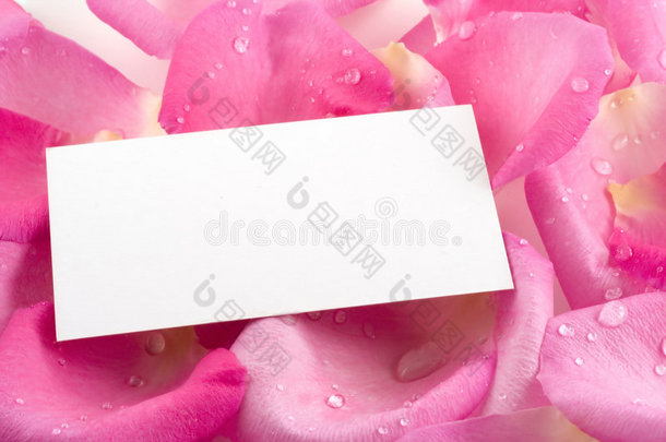 粉红色玫瑰花瓣上的名片