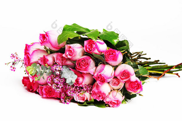 深粉色和浅粉色玫瑰