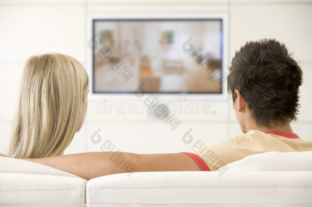 夫妻俩在客厅看电视