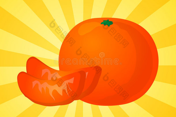 橙色截面图