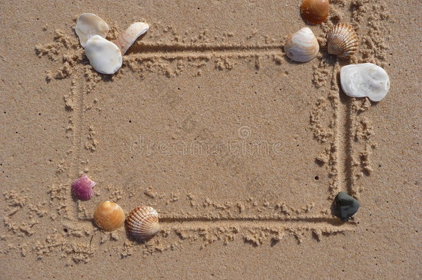 贝壳和沙框边框