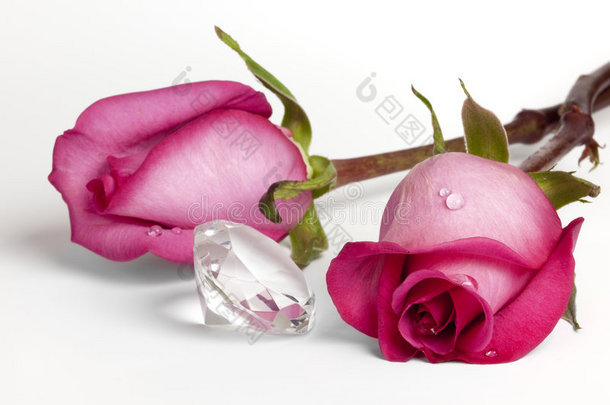 两朵粉红玫瑰和大<strong>水晶钻石</strong>