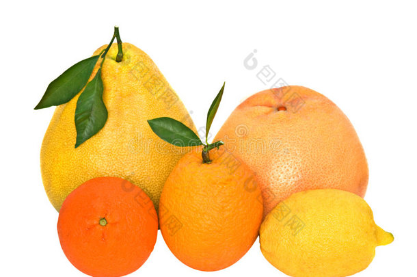 帕梅洛，橘子，葡萄柚，柠檬和橘子