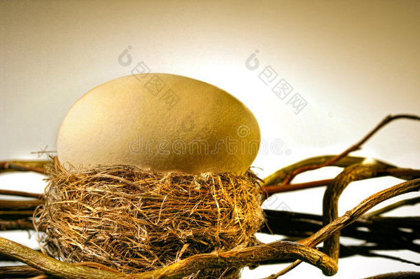 鸟巢里的大金蛋