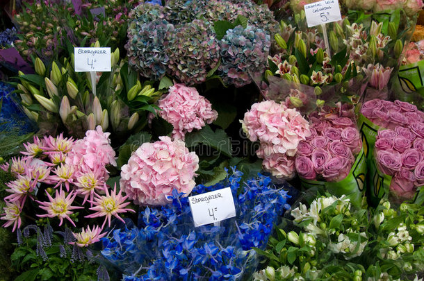 阿姆斯特丹花卉市场