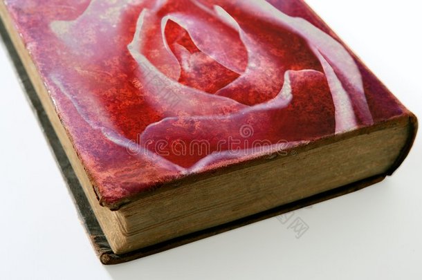 玫瑰印在一本旧书的封面上