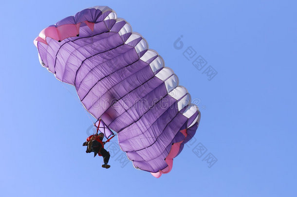 紫色降落<strong>伞</strong>