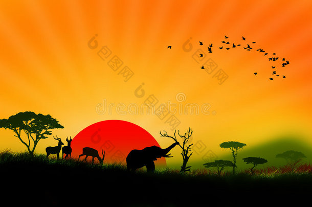 多彩非洲野生动物景观插画