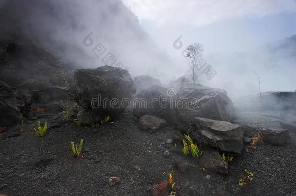 火山口<strong>底</strong>部