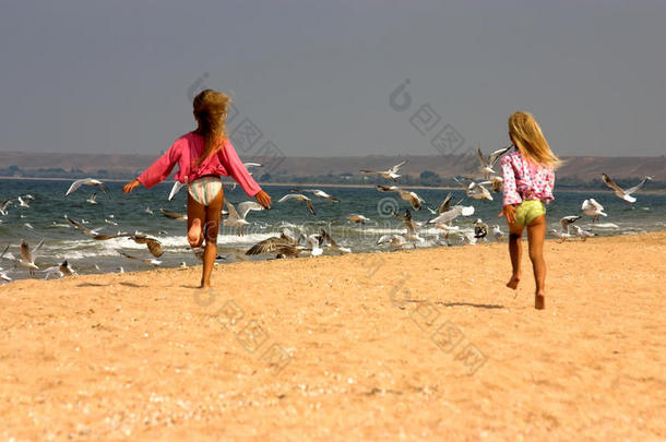年轻姑娘们高兴地朝海鸥跑去
