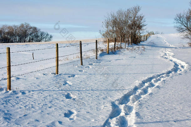 雪地里的脚步声