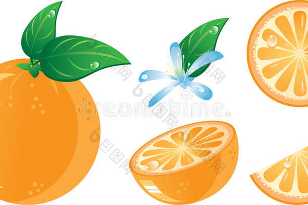 橙色<strong>水果图</strong>标集