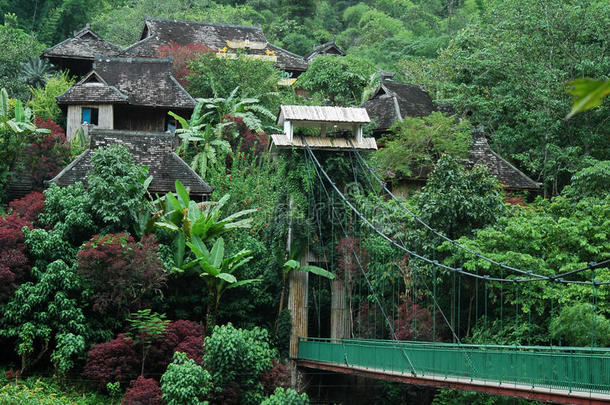 中国云南西双版纳的风景