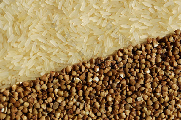 水稻和荞麦在直径上相互<strong>关联</strong>