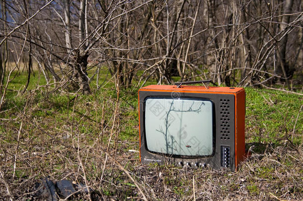 森林里废弃的电视机